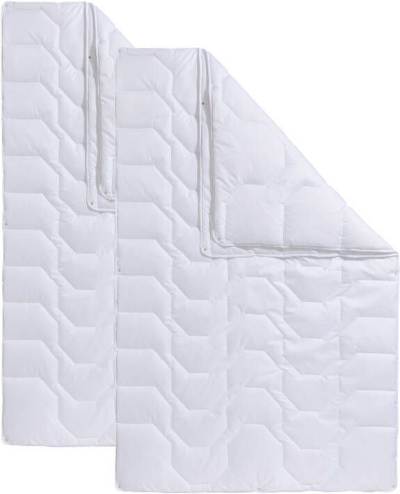 Beco Synthetisch dekbed Dekbeddenset Rügen 135x200 of 155x220 cm zomer of winter Normaal - Foto 3