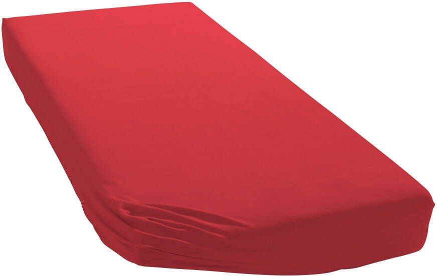 Bellana Hoeslaken Jersey Classic voor kinderen en baby's van puur katoen (1 stuk) - Foto 2