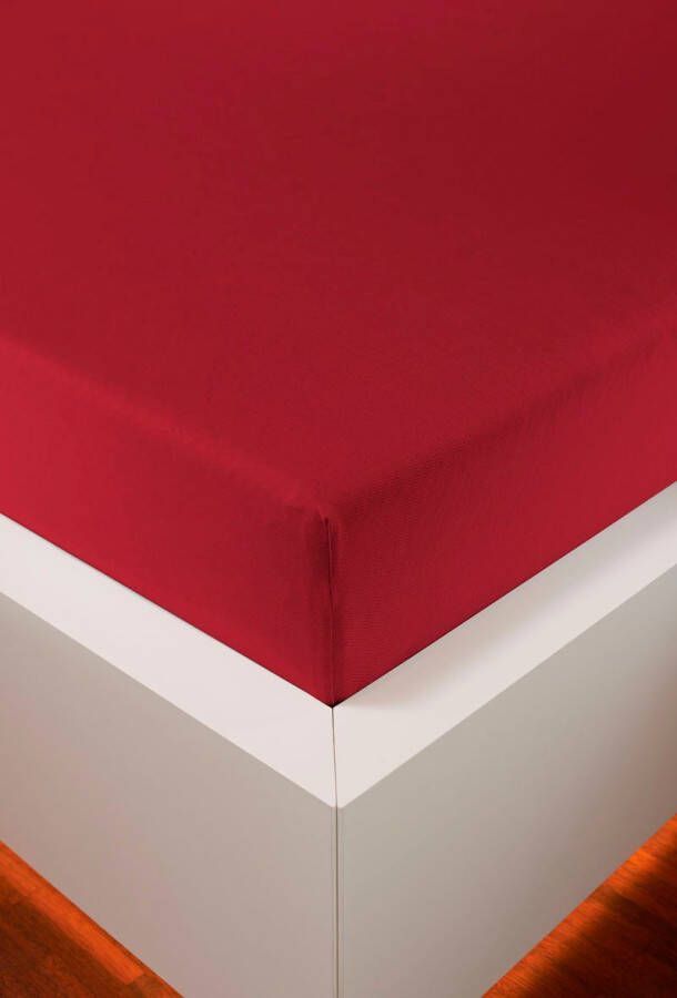 Bellana Hoeslaken Jersey-elastaan aqua in mt. 90x200 140x200 of 180x200 cm van katoen voor matrassen tot 35 cm hoogte laken hoeslaken (1 stuk) - Foto 4