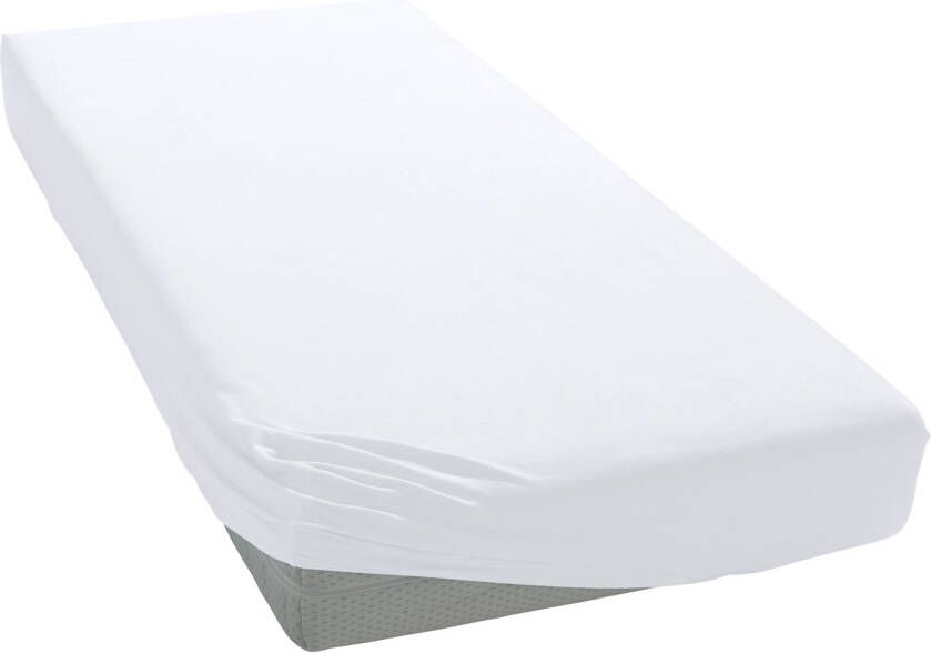 Bellana Hoeslaken Jersey-elastaan aqua in mt. 90x200 140x200 of 180x200 cm van katoen voor matrassen tot 35 cm hoogte laken hoeslaken (1 stuk) - Foto 2