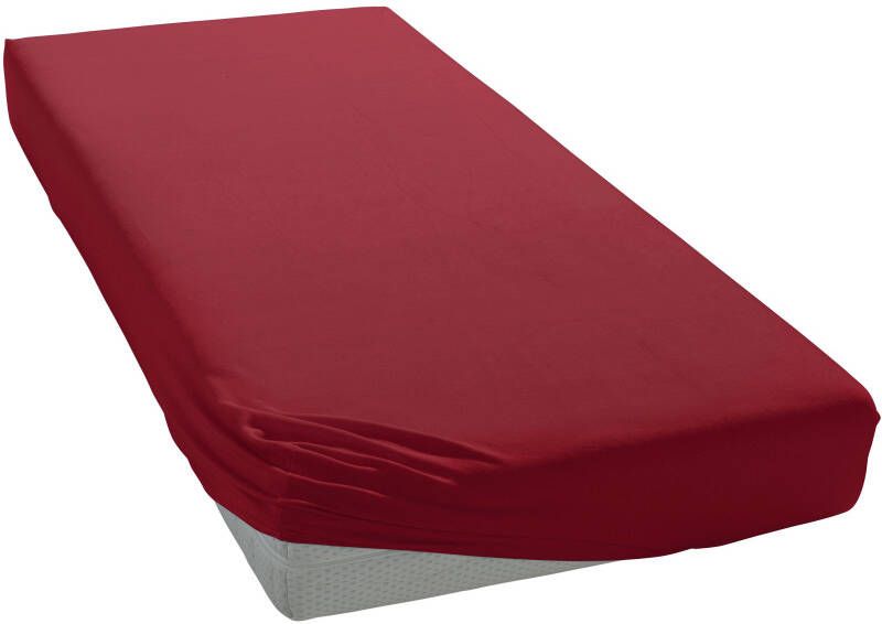 Bellana Hoeslaken Jersey-elastaan aqua in mt. 90x200 140x200 of 180x200 cm van katoen voor matrassen tot 35 cm hoogte laken hoeslaken (1 stuk) - Foto 2