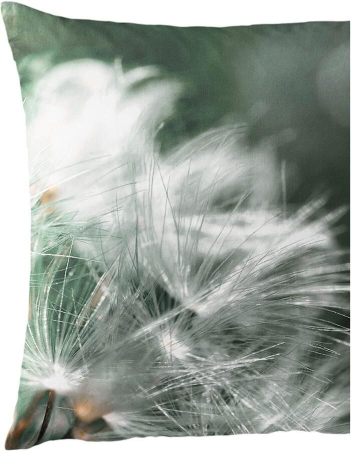 BIERBAUM Beddengoed 5084 Mako-satijn 100% katoen onderhoudsvriendelijk digitale print (2-delig)