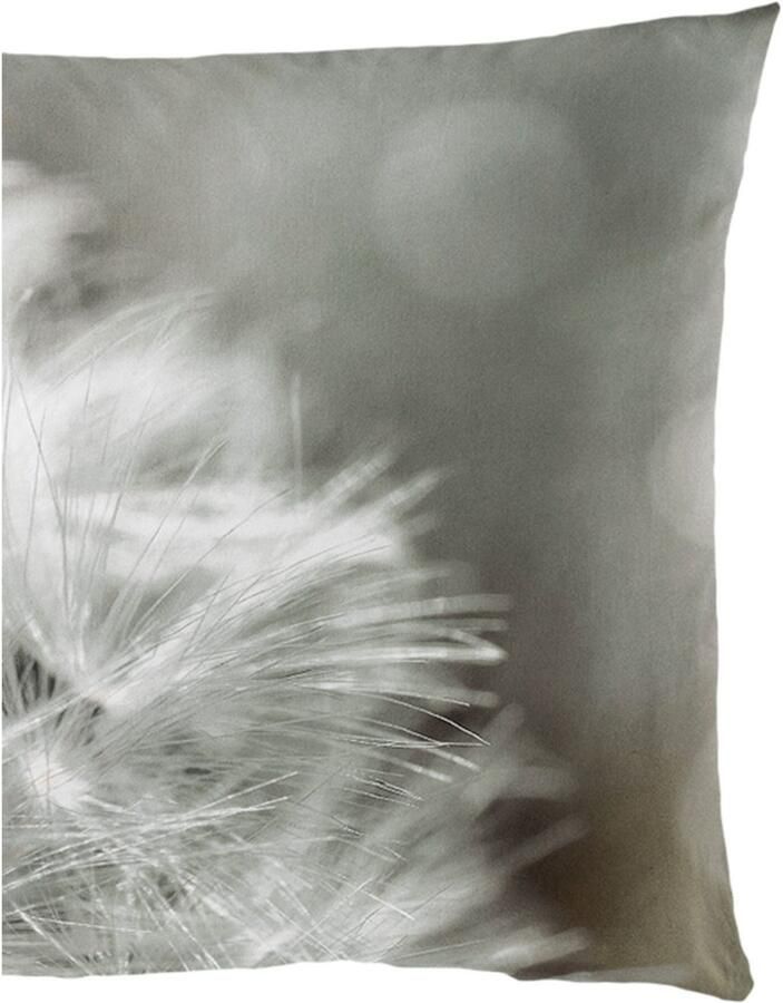 BIERBAUM Overtrekset Pluizenbol Mako-satijn 100% katoen met bloemmotief gemakkelijk in onderhoud (2-delig)