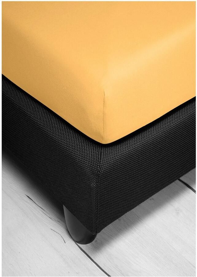 BIERBAUM Hoeslaken Jersey 95% katoen en 5% elastaan voor optimale zachtheid en rekbaarheid (1 stuk) - Foto 4
