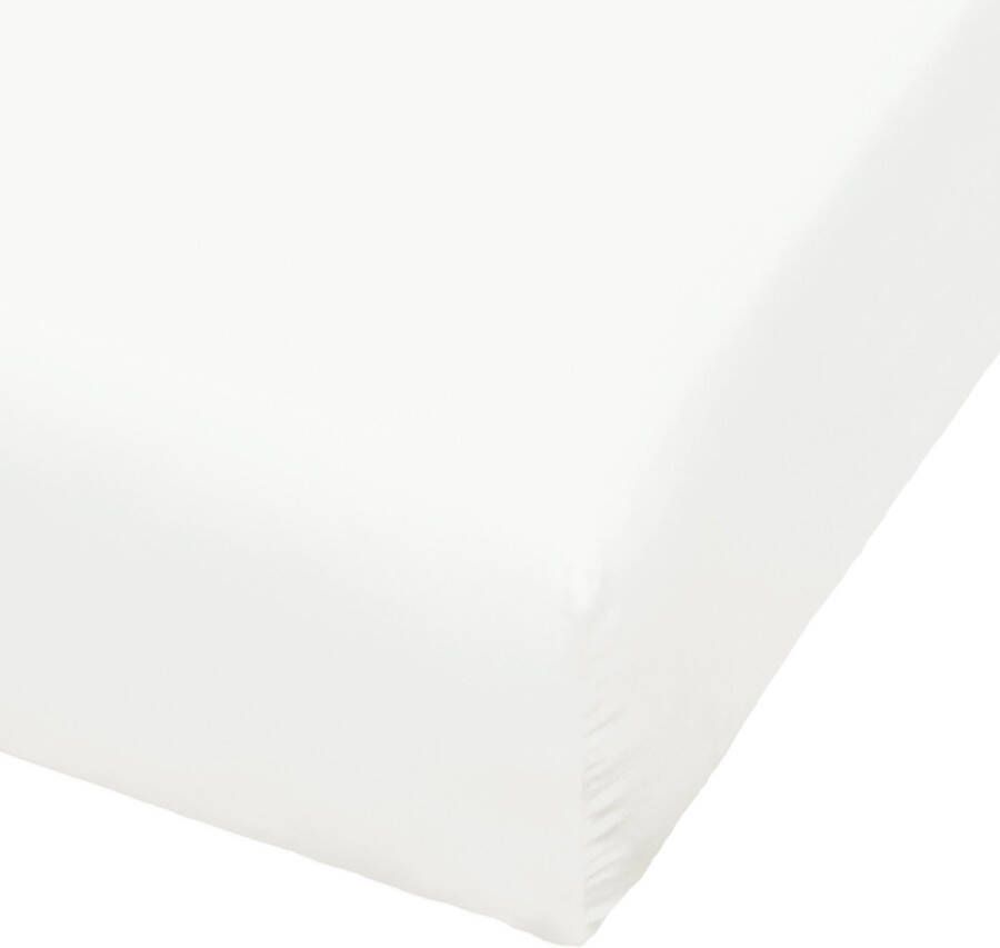 BIERBAUM Hoeslaken Jersey 95% katoen en 5% elastaan voor optimale zachtheid en rekbaarheid (1 stuk)