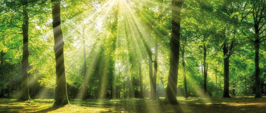 Bönninghoff Artprint op linnen Zonnestraal (1 stuk)