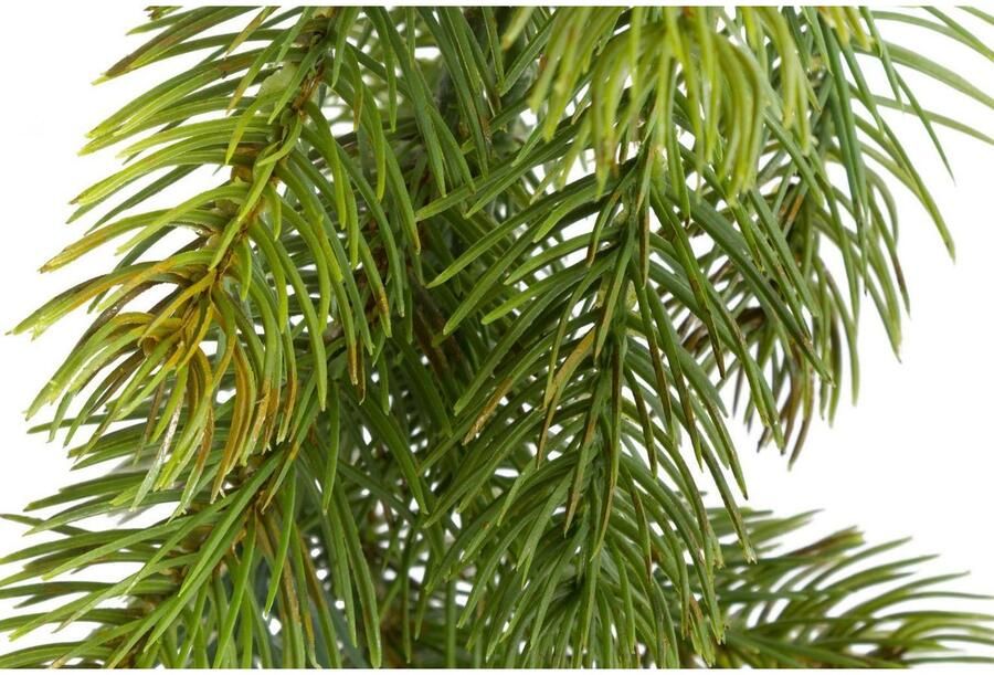 Botanic-Haus Kunst-potplanten Dennenguirlande Oslo (1 stuk)