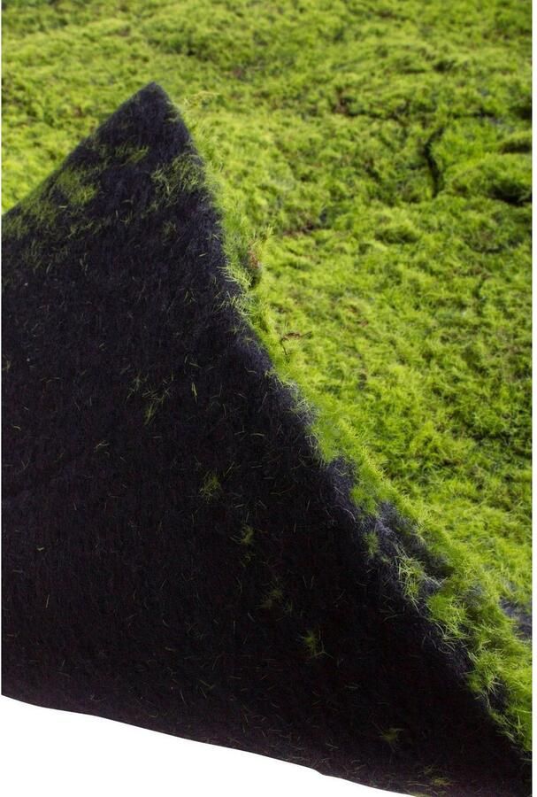 Botanic-Haus Kunst-potplanten Mosmat (1 stuk) - Foto 2