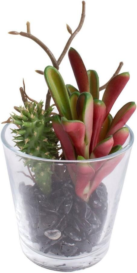 Botanic-Haus Kunst-potplanten Vetplanten arrangement in het glas (set 2 stuks) - Foto 2