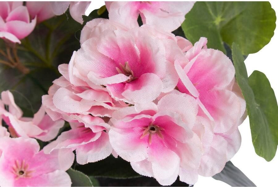 Botanic-Haus Kunstbloem Geranium met 6 stelen (1 stuk) - Foto 2