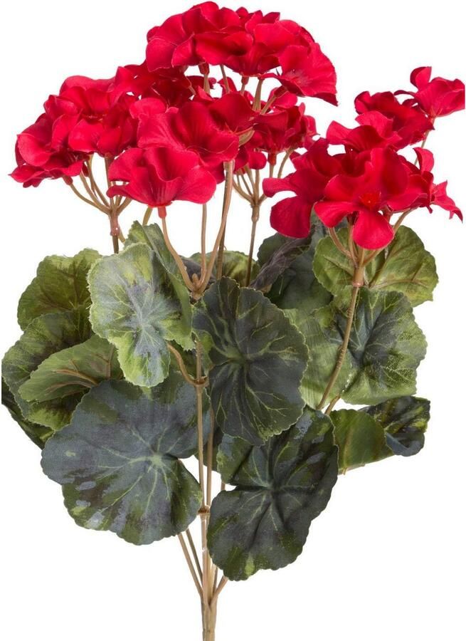Botanic-Haus Kunstbloem Geraniums (1 stuk) - Foto 2