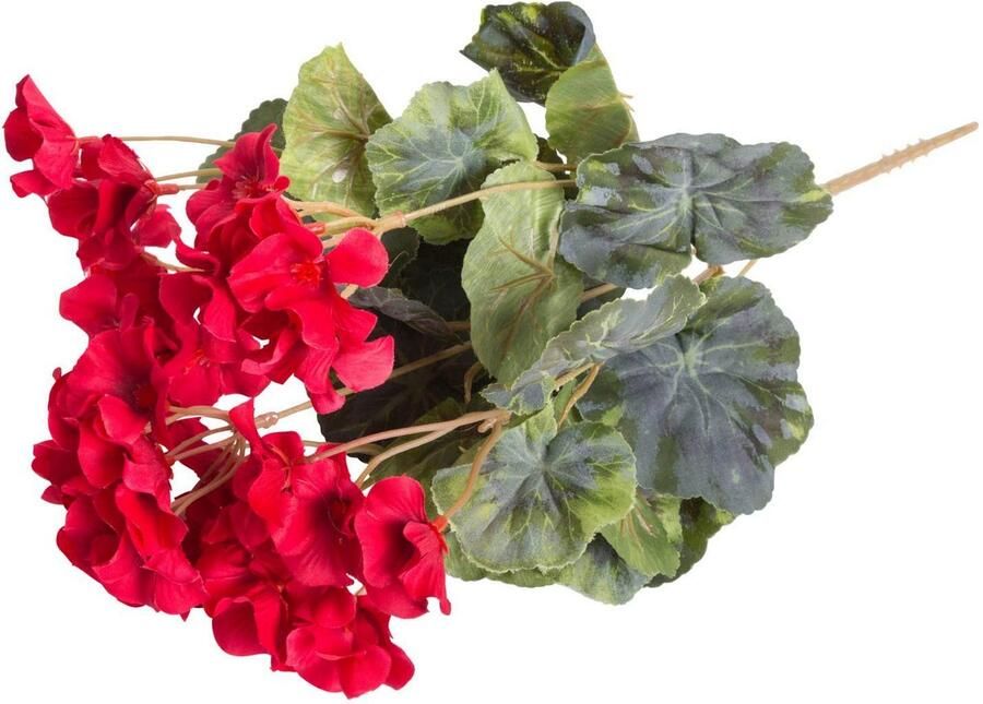 Botanic-Haus Kunstbloem Geraniums (1 stuk) - Foto 4