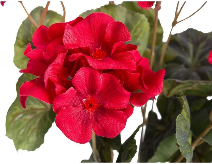 Botanic-Haus Kunstbloem Geraniums (1 stuk) - Foto 2