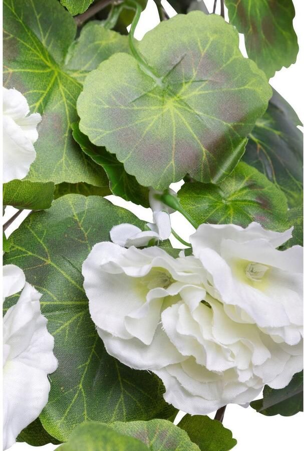 Botanic-Haus Kunstbloem Hanggeranium (1 stuk) - Foto 2