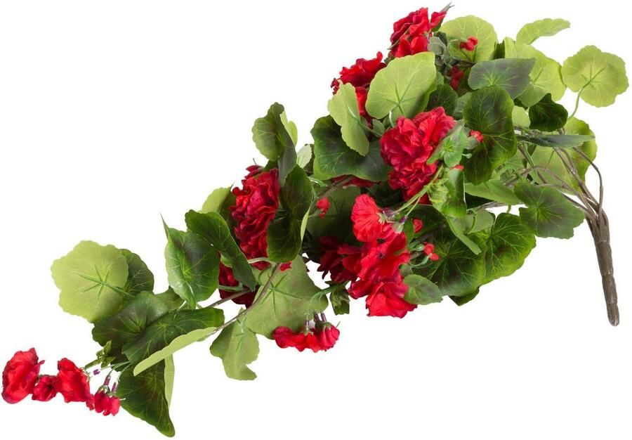 Botanic-Haus Kunstbloem Hanggeranium (1 stuk)