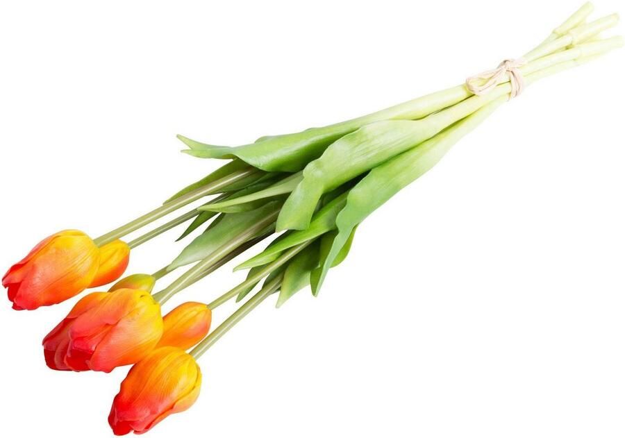 Nova Nature Classic tulip bundle Sally x7 orange 47cm - Foto 2