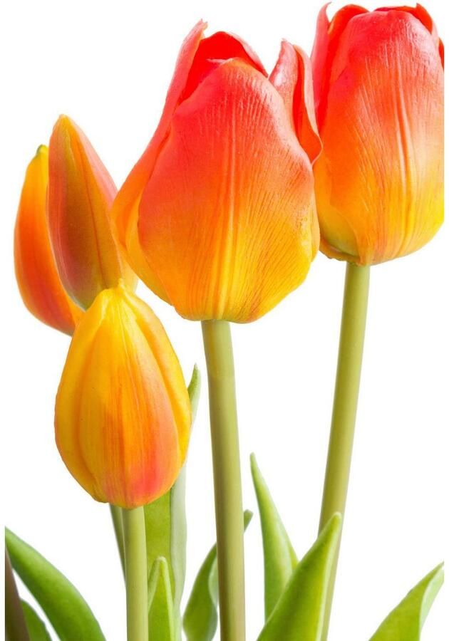 Nova Nature Classic tulip bundle Sally x7 orange 47cm - Foto 2