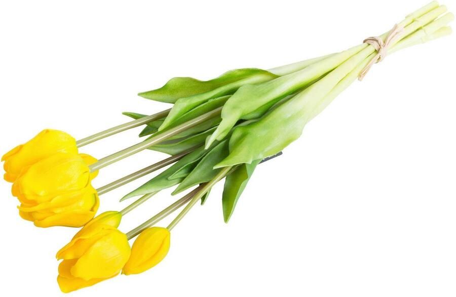 Nova Nature Classic tulip bundle Sally x7 yellow 47cm