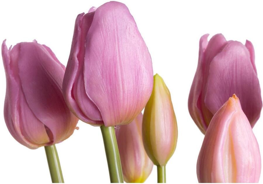 Botanic-Haus Kunstbloem Tulpenbundel (1 stuk)