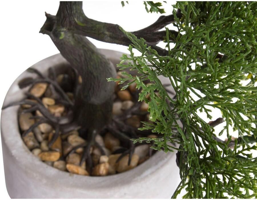 Botanic-Haus Kunstbonsai Ceder Bonsai (1 stuk)