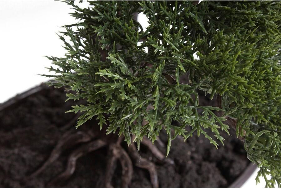 Botanic-Haus Kunstbonsai Cedern Bonsai (1 stuk) - Foto 2