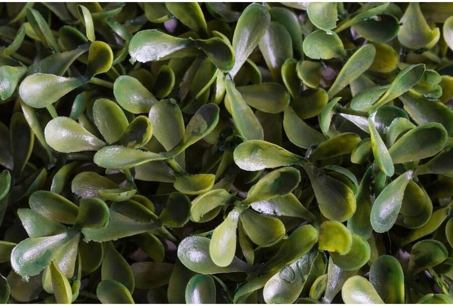 Nova Nature princeville bal 45cm (6 maanden UV-beschermd)