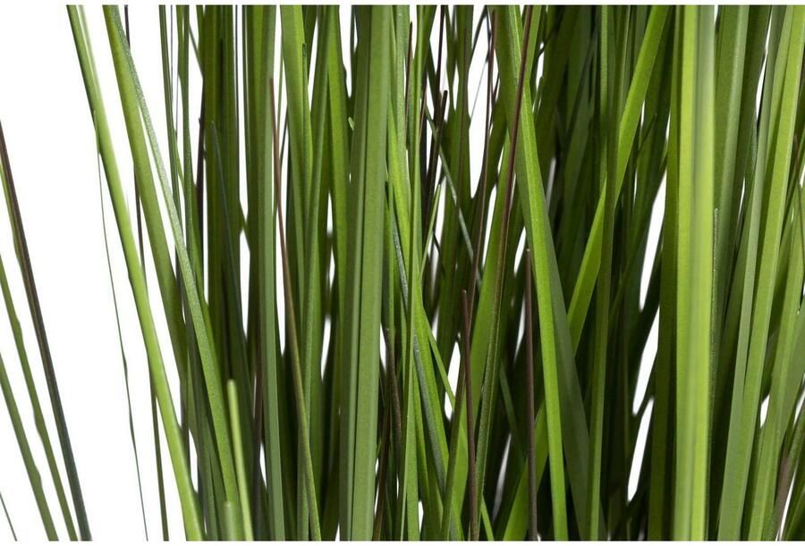 Botanic-Haus Kunstgras Gras Festuca (1 stuk) - Foto 3