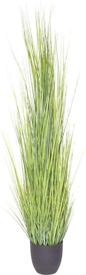 Botanic-Haus Kunstgras Gras Festuca (1 stuk) - Foto 2
