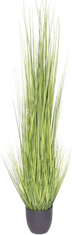 Botanic-Haus Kunstgras Gras Festuca (1 stuk) - Foto 2