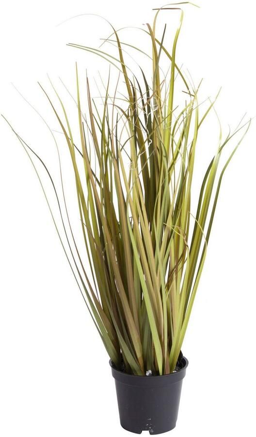 Botanic-Haus Kunstgras Grasarrangement (set 2 stuks) - Foto 2