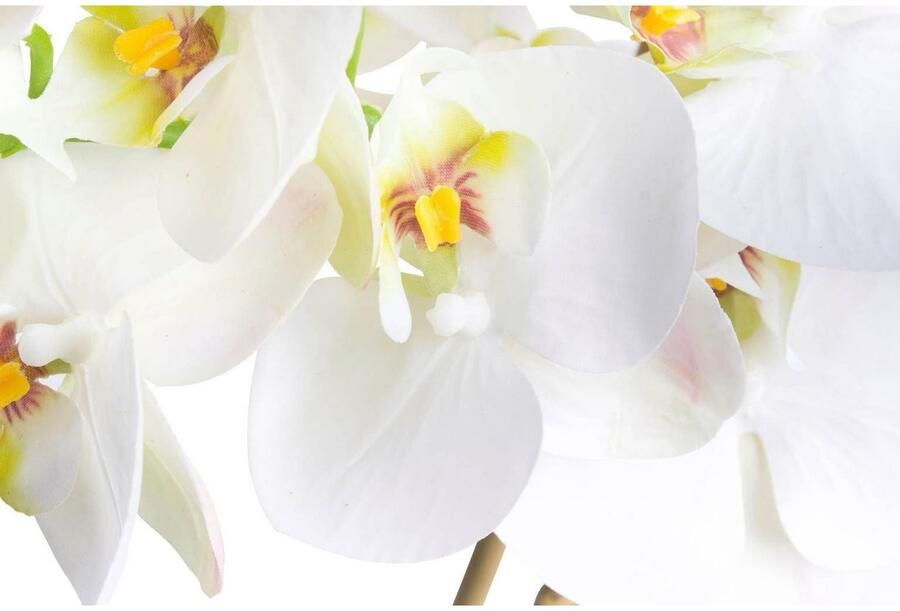 Nova Nature RT Phalaenopsis Bora x3 in pot 60cm wit - Foto 2