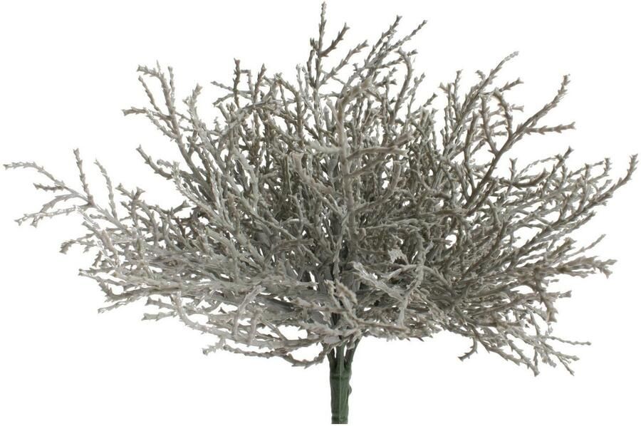 Botanic-Haus Kunsttak Calocephalus (zilverkleurige mand) (set 2 stuks) - Foto 2