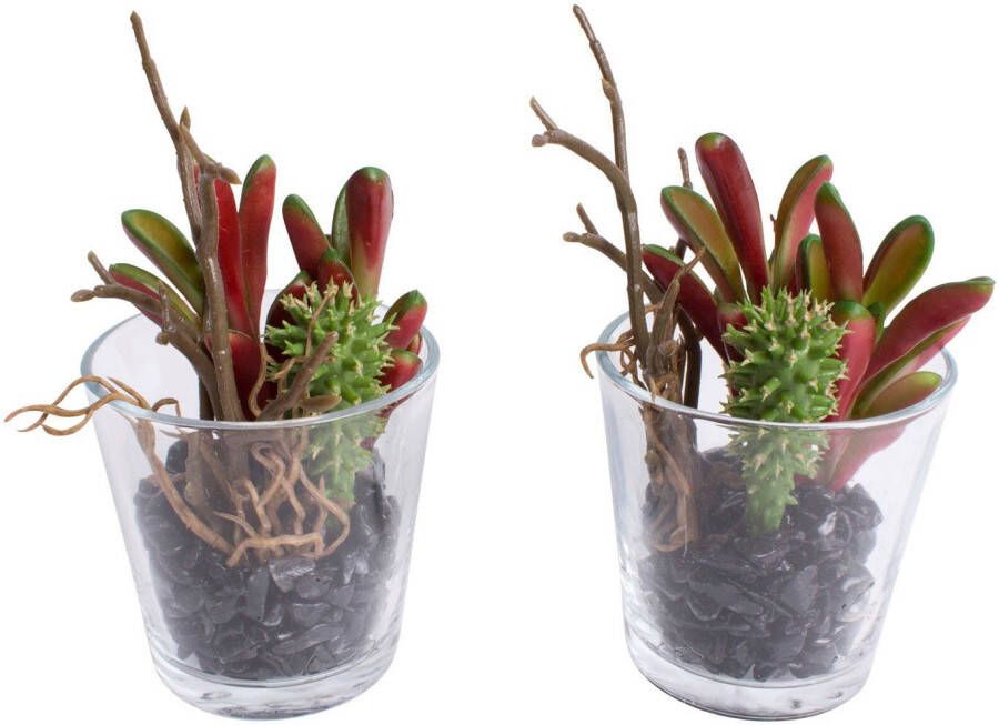 Botanic-Haus Kunst-potplanten Vetplanten arrangement in het glas (set 2 stuks) - Foto 2