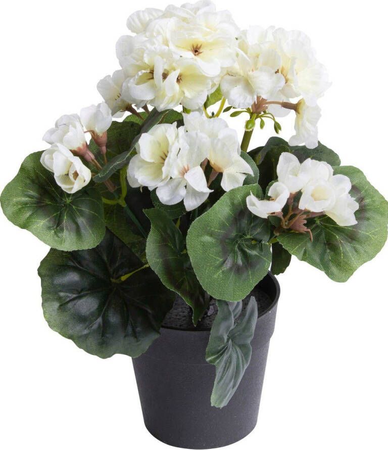 Botanic-Haus Kunstbloem Geranium met 6 stelen (1 stuk) - Foto 2