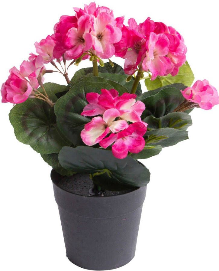 Botanic-Haus Kunstbloem Geranium met 6 stelen (1 stuk) - Foto 2