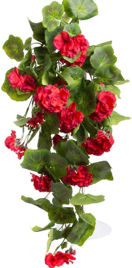 Botanic-Haus Kunstbloem Hanggeranium (1 stuk) - Foto 3