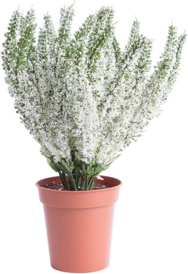 Botanic-Haus Kunstbloem Heide in bruine plastic pot (1 stuk) - Foto 2