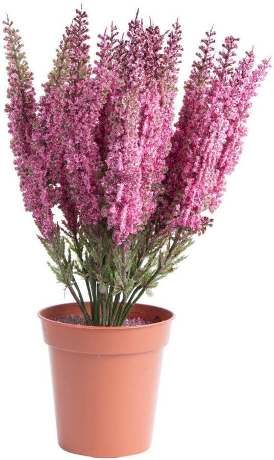 Botanic-Haus Kunstbloem Heide in bruine plastic pot (1 stuk) - Foto 2