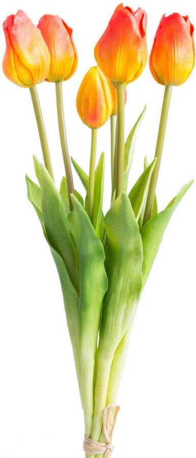 Nova Nature Classic tulip bundle Sally x7 orange 47cm - Foto 3