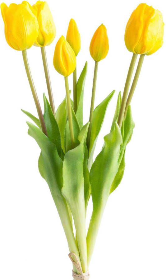 Nova Nature Classic tulip bundle Sally x7 yellow 47cm - Foto 3
