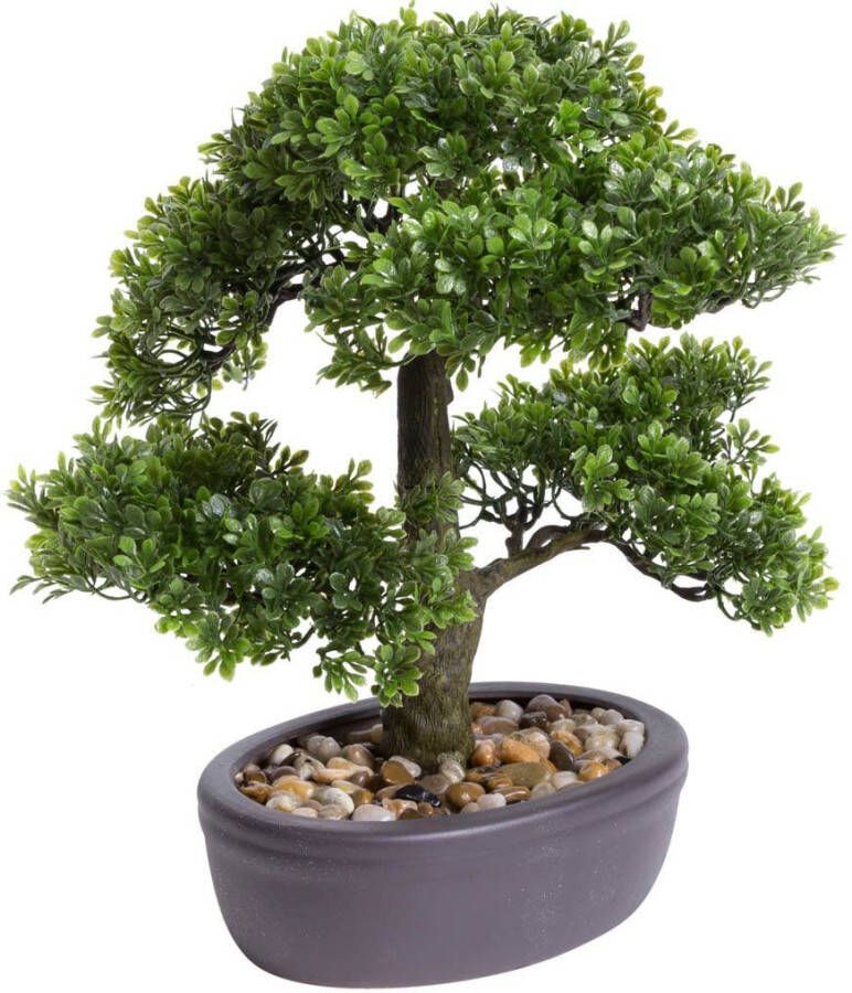 Botanic-Haus Kunstbonsai Ficus bonsai (1 stuk) - Foto 2