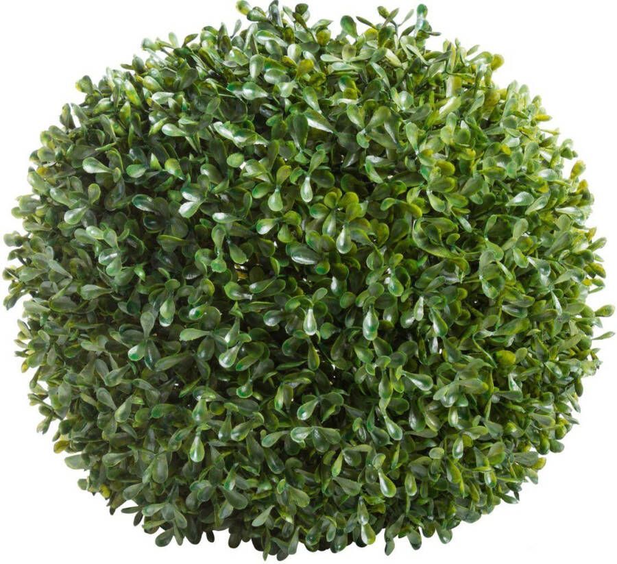 Nova Nature princeville bal 28cm (6 maanden UV-beschermd) - Foto 2