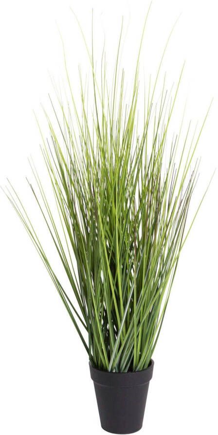 Botanic-Haus Kunstgras Gras Festuca (1 stuk)