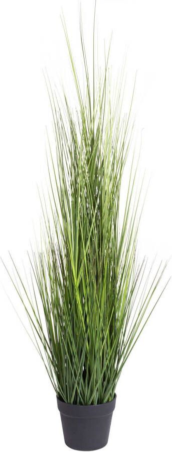 Botanic-Haus Kunstgras Gras Festuca (1 stuk) - Foto 2