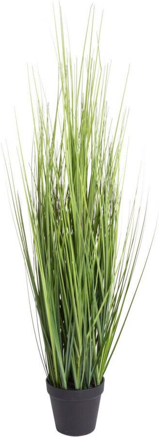 Botanic-Haus Kunstgras Gras Festuca (1 stuk) - Foto 2