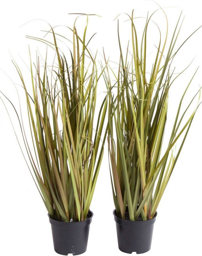 Botanic-Haus Kunstgras Grasarrangement (set 2 stuks) - Foto 3