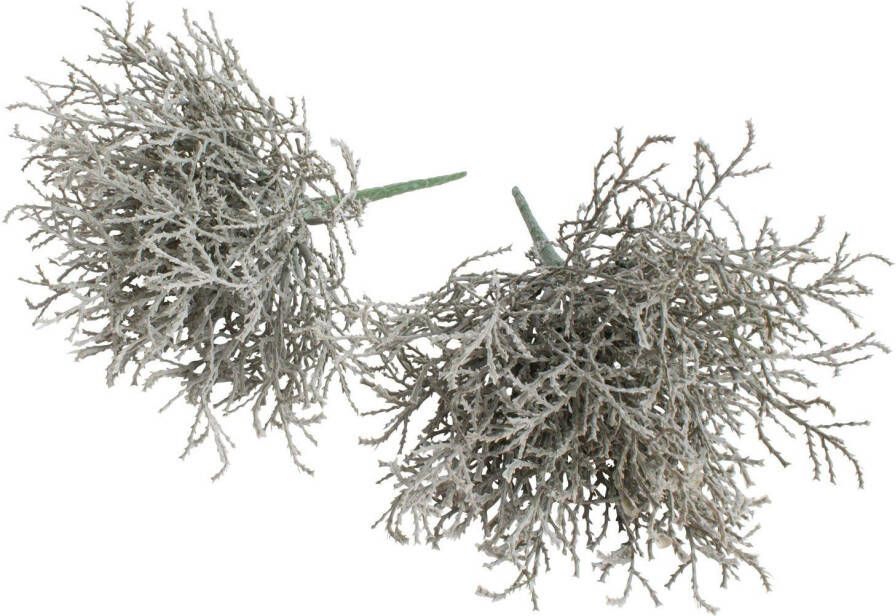 Botanic-Haus Kunsttak Calocephalus (zilverkleurige mand) (set 2 stuks) - Foto 1