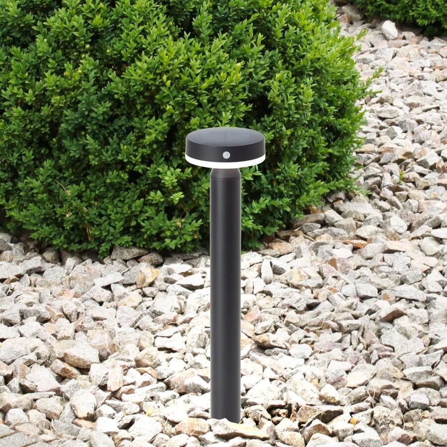Brilliant Leuchten Led-sokkellamp Magua LED buitenvoetlamp solar 50 cm 350 lm 4000 K metaal zwart (1 stuk)