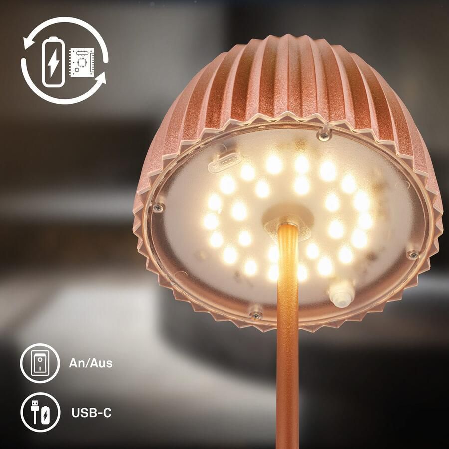 Briloner Leuchten Led-tafellamp Accu LED tafel lamp - Foto 11