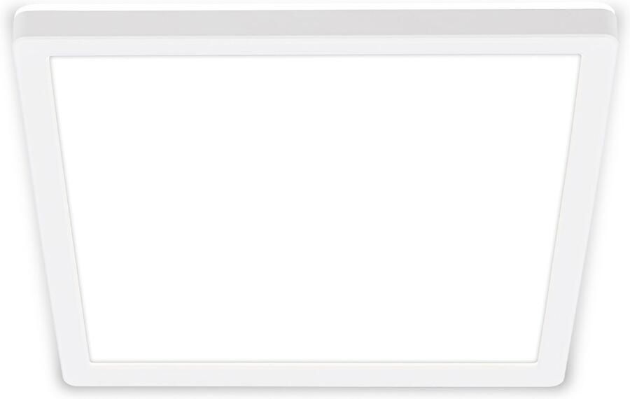 Briloner Leuchten Plafondlamp Tava Panel